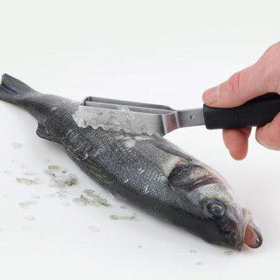 Fish Scaler 20 Cm, Stainless Steel